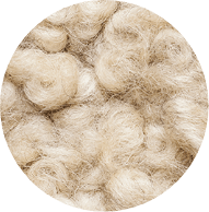 Wool Fiber